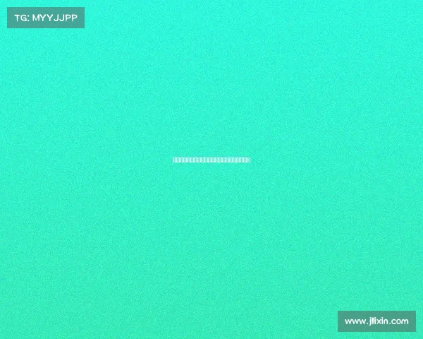 法甲球迷应援文化探索：激情与创意的交织与传承